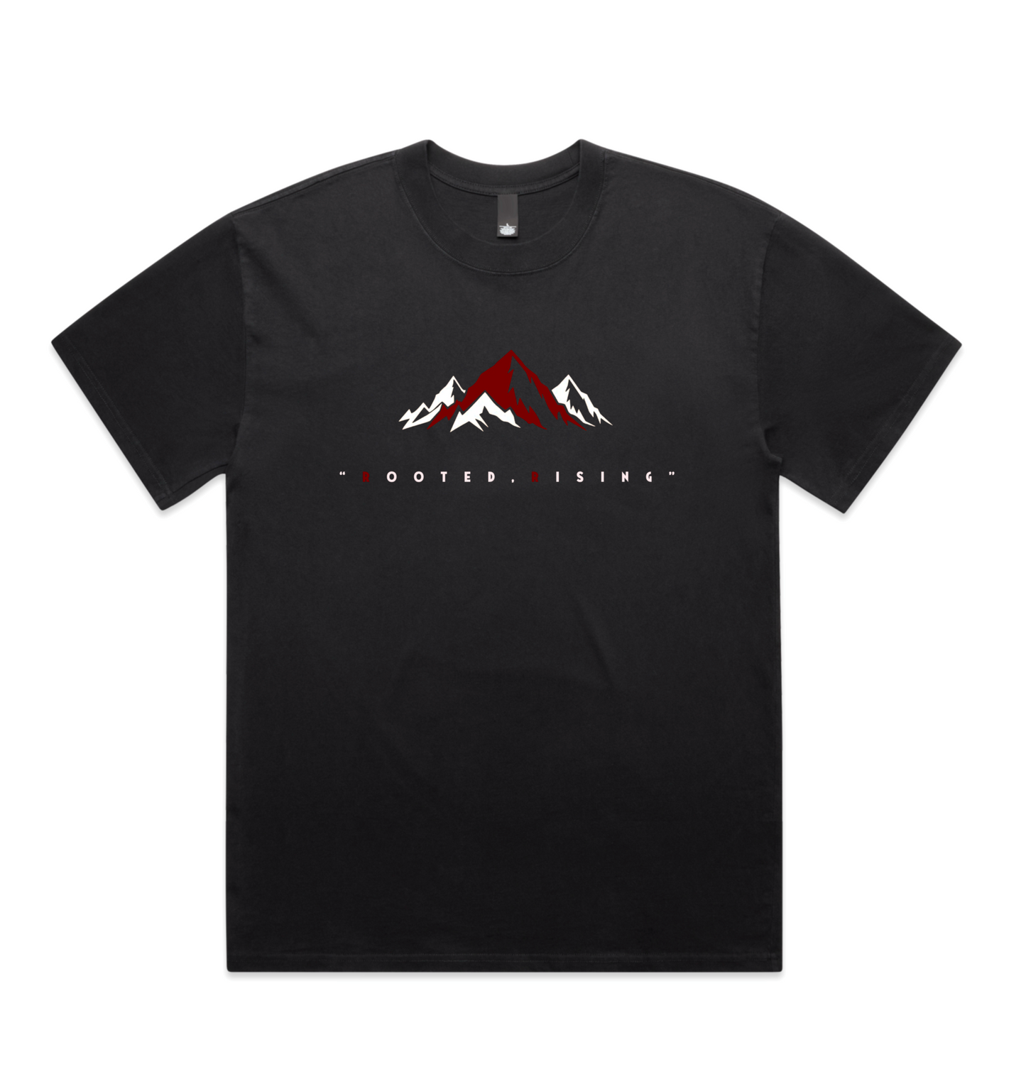 Root 1699 Designed Elevation Heavy Minus Faded T-shirt
