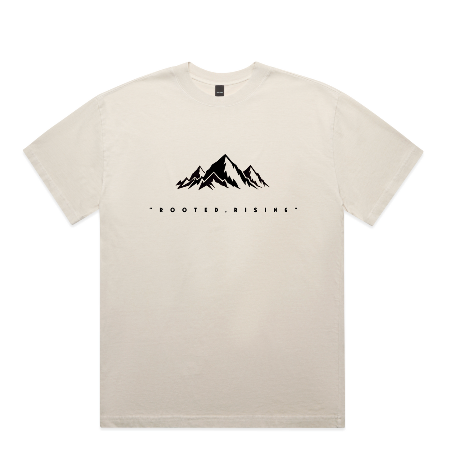 Root 1699 Designed Elevation Heavy Minus Faded T-shirt